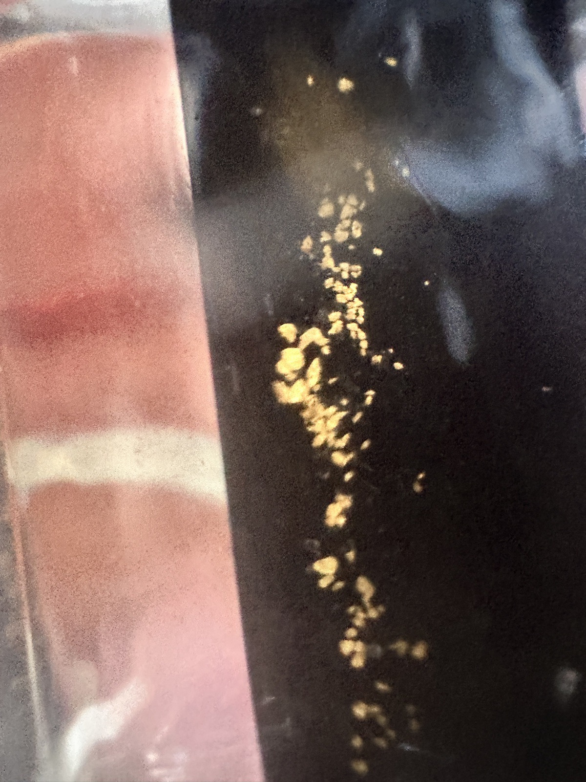 一閃一閃的,很美